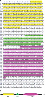 A novel TBK1/IKKϵ is involved in immune response and interacts with MyD88 and MAVS in the scallop Chlamys farreri